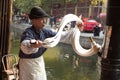 SHAOXING,CHINA: The traditional malt sugar pulling, when it is pulled very long, the malt sugar can thus be