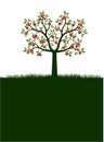 Shape apple fruits Tree. Vector outline Illustration. Plant in Garden