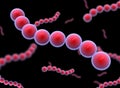 Cocci Shape of bacteria. streptococci type Bacteria.