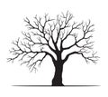 Shape of black Tree with leaves. Vector outline Illustration. Plant in Garden Royalty Free Stock Photo