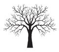Shape of black Tree with leaves. Vector outline Illustration. Plant in Garden Royalty Free Stock Photo