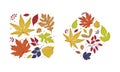 Shape with Bright Autumn Foliage of Different Leaf Color Vector Arrangement Set Royalty Free Stock Photo