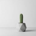 Shape contrasts with the organic form of the cactus creating Royalty Free Stock Photo