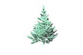 shape evergreen tree white background 3d rendering Royalty Free Stock Photo