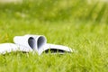 Shape of a heart on a book on grass background
