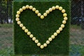 The shape of a heart on a green background is lined with tennis balls Royalty Free Stock Photo