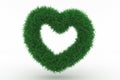 Shape of a Heart with green Grass