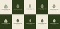 Shape of leaf logo design. leaf logo vector set. Luxury line leaf logo. Royalty Free Stock Photo