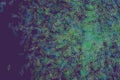 Shape of motion, particle or random, abstract background pattern. Canvas, style, web & digital. Royalty Free Stock Photo
