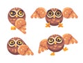 Set of funny brown owls flat illustration