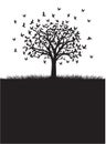 Shape of Naked Tree and birds. Vector outline Illustration. Plant in Garden