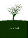 Shape of Naked Tree. Vector outline Illustration. Plant in Garden