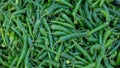 Shape, pattern and texture of large green chilies Royalty Free Stock Photo