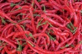 Shape, pattern and texture of large red chilies Royalty Free Stock Photo