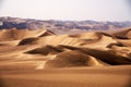The shape of sand dunes in lut desert
