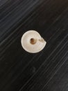 Shape of sea shell from the beach on black background Royalty Free Stock Photo