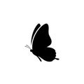 The shape is simple, with emphasis on the rounded forewing and hindwing Royalty Free Stock Photo