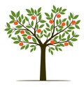 Shape of Tree with leaves, fruits  and Roots. Vector outline Illustration. Plant in Garden Royalty Free Stock Photo