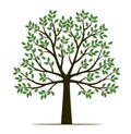 Shape of Tree with leaves and Roots. Vector outline Illustration. Plant in Garden Royalty Free Stock Photo