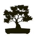 Shape of Tree with Leaves. Vector outline Illustration of Bonsai