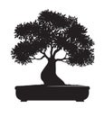 Shape of Tree with Leaves. Vector outline Illustration of Bonsai