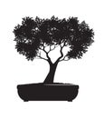 Shape of Tree with Leaves. Vector outline Illustration of Bonsai