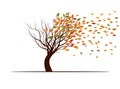 Shape of Tree, wind and falling autumn leaves. Vector outline Illustration. Plant in Garden
