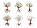 Shape of Trees, Roots and Leafs. Vector Illustration.