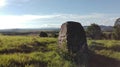 A shaped hewn stone standing on a green meadow