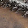 Shaped ice bya small stream in winter Royalty Free Stock Photo