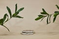 shaped podium or stone beauty with ruscus plants. Product promotion Beauty cosmetic showcase.