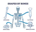 Shapes of bones with anatomical human skeleton shape division outline diagram Royalty Free Stock Photo
