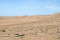 Shapes and colors of the desert