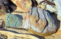 Shapes and patterns of colored weathered sandstone Royalty Free Stock Photo