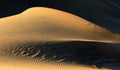 The shapes of sand dunes in lut desert