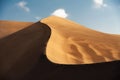 The shapes of sand dunes in lut desert