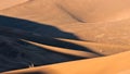 The shapes of sand dunes in lut desert