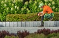Shaping Shrubs with Cordless Electric Hedge Trimmer Royalty Free Stock Photo