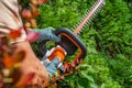 Shaping Thujas Green Wall Using Hedge Trimmer Close Up Royalty Free Stock Photo