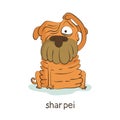 Shar pei. Dog character on white