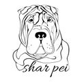 Shar pei dog head
