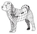 Shar pei dog zentangle stylized, vector, illustration, freehand