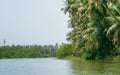 sharavati river on a clear sky Royalty Free Stock Photo