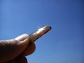 A shard of dark brown bottle glass in a woman`s hand. Transparent colored glass as a filter when looking at the sky. Glare of Royalty Free Stock Photo