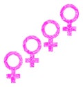 Shard Mosaic Female Cohort Symbol Icon Royalty Free Stock Photo