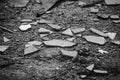 Shards of broken glass, black and white photo Royalty Free Stock Photo