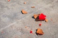 Shards of broken red clay pot Royalty Free Stock Photo