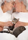 They share such a special love. A senior couple lying in bed together with their cat.