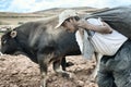 Sharecropper carrying large sack of potatoes for cultivating