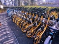 shared bikes in the street of Wuhan city